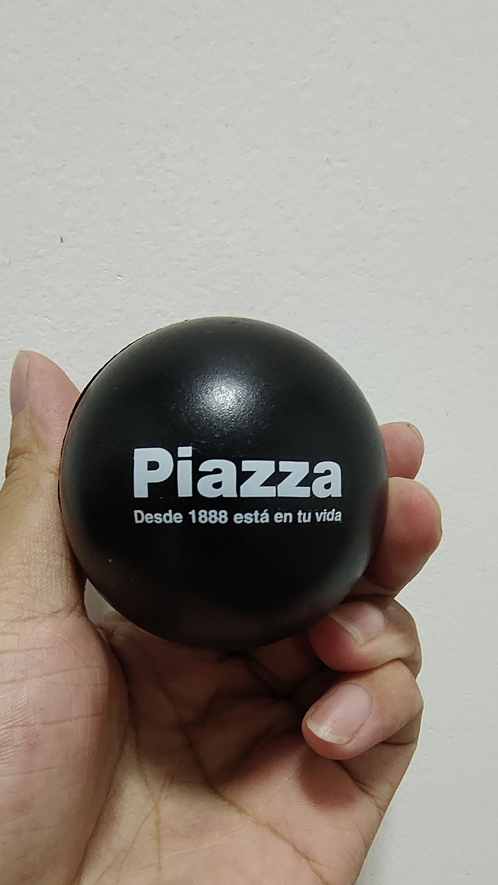 PIAZZA Logo Customization