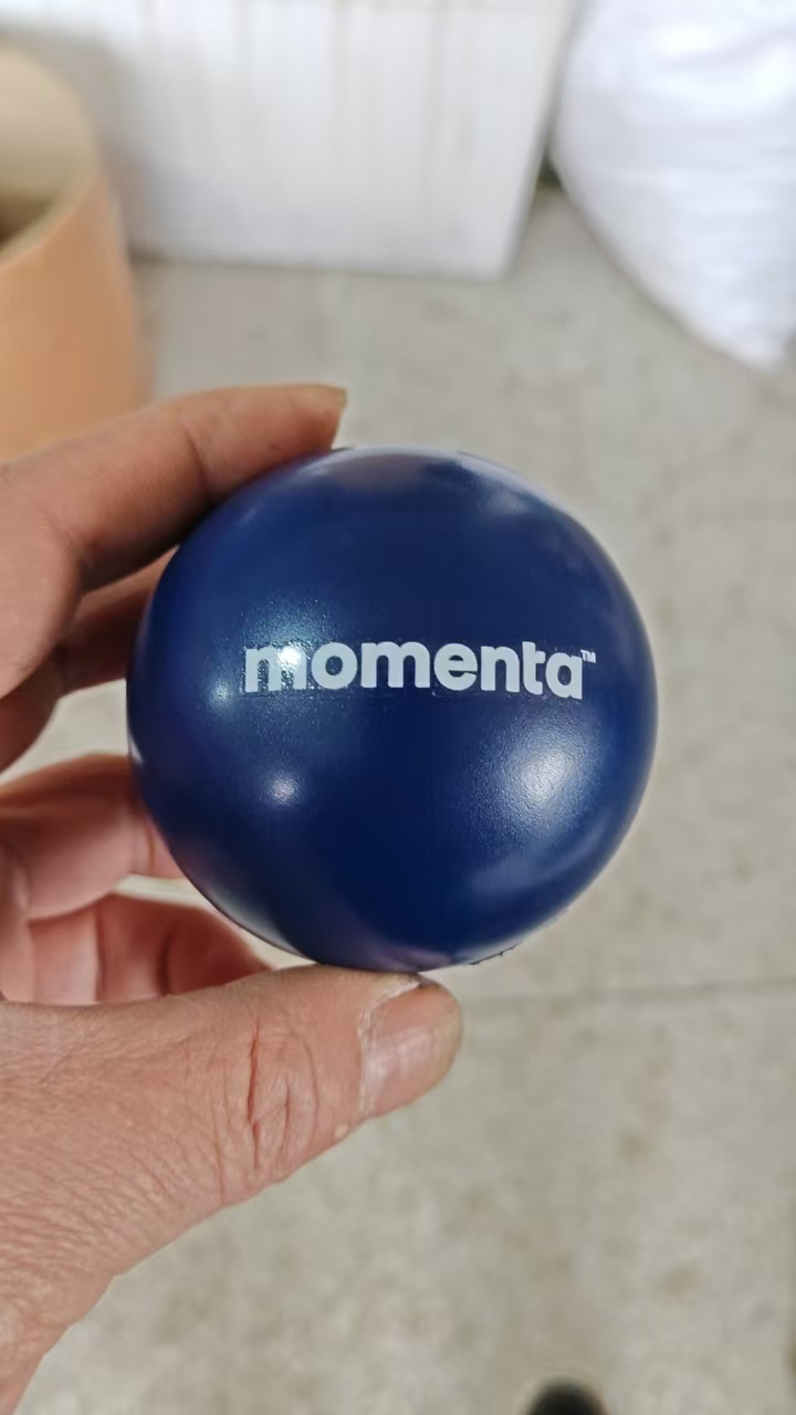 MOMENTA Logo Customization