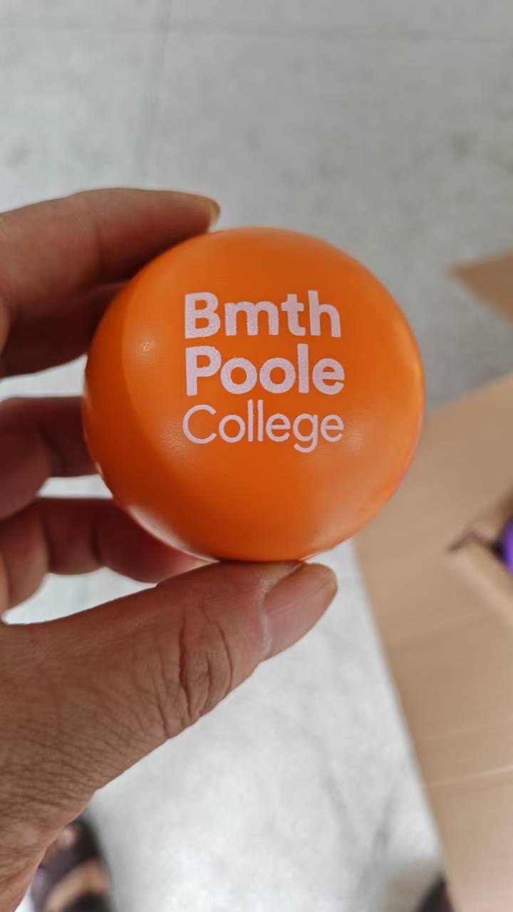 Bmth Poole College Logo Customization