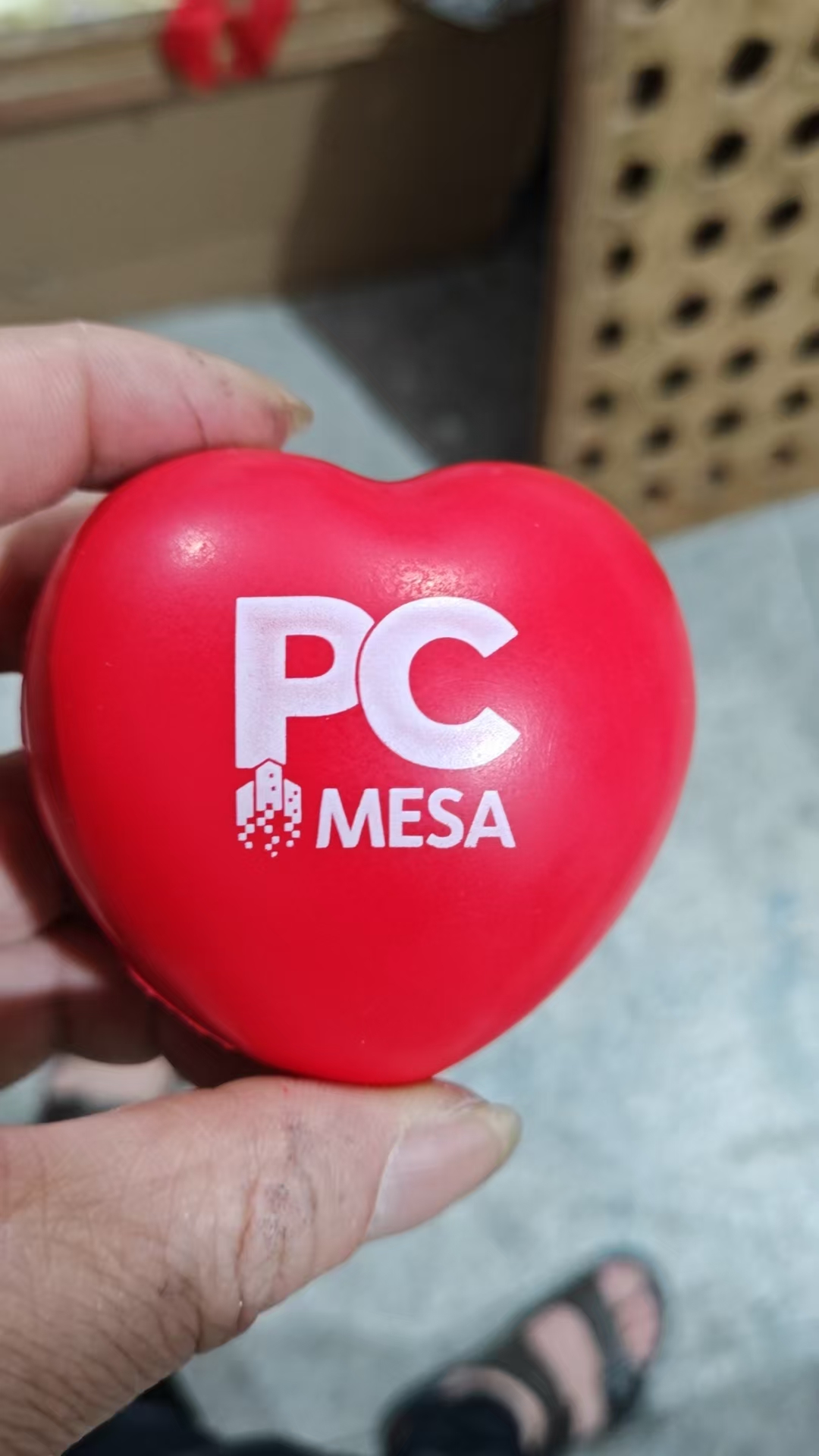 PC MESA Logo Customization