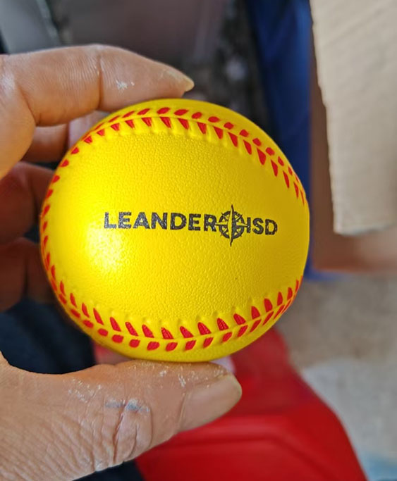 LEANDER Logo Customization